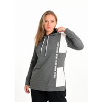  Antrasit Yeni Sezon Spor Kapüşonlu Sweatshirt G1033-3